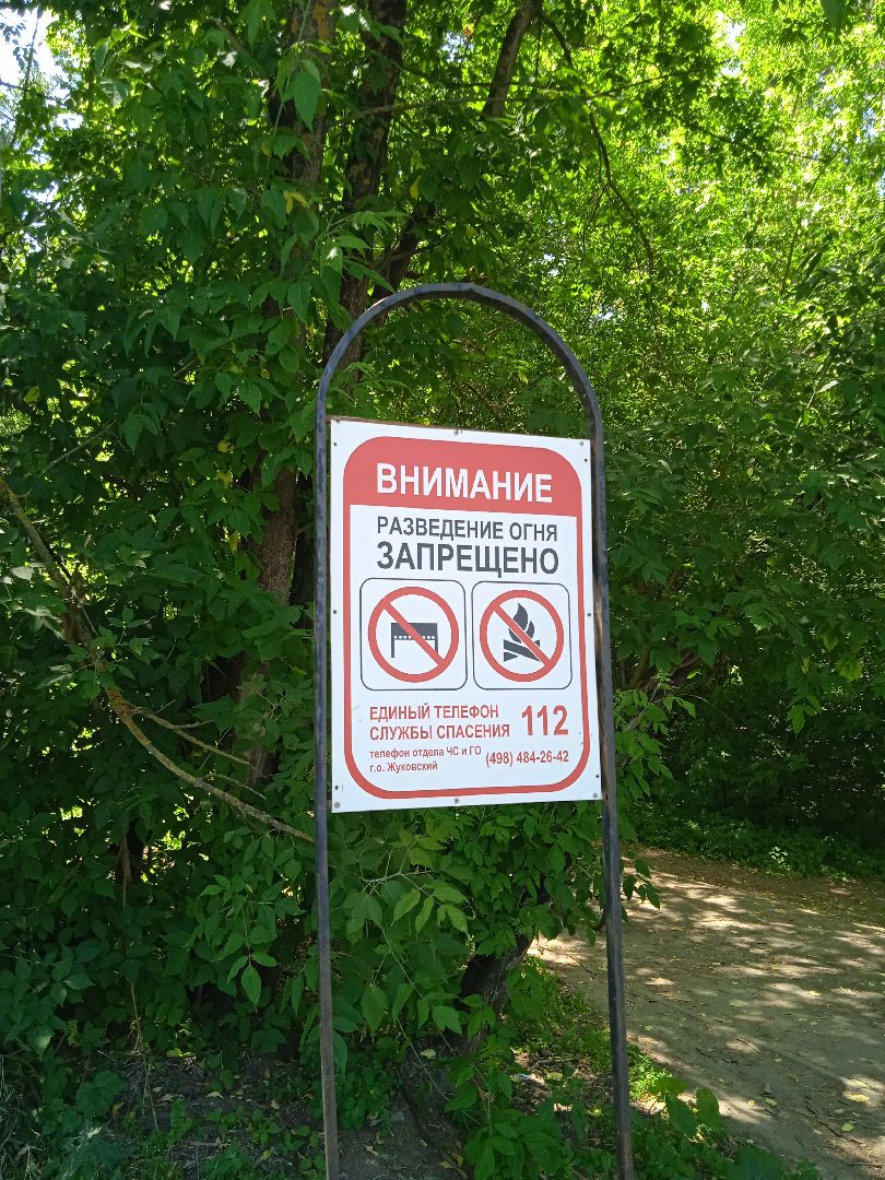 лес, пожарная, опасность, посещение