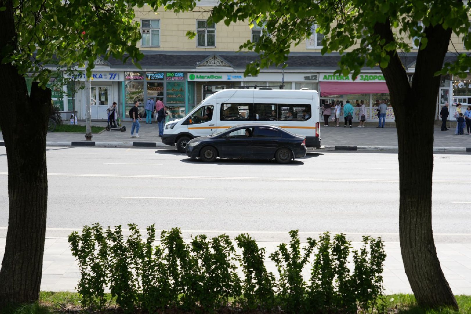 Сергиев Посад, Сергиево-Посадский городской округ, Здоровье, Здравоохранение, Медицина, Пух, Аллергия