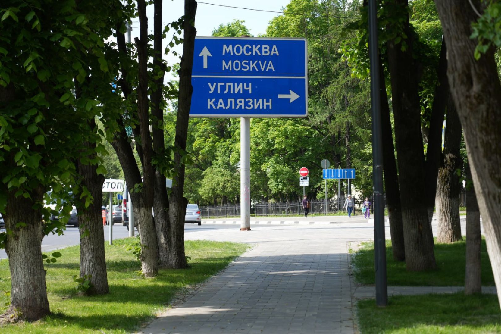 Сергиев Посад, Сергиево-Посадский городской округ, Здоровье, Здравоохранение, Медицина, Пух, Аллергия