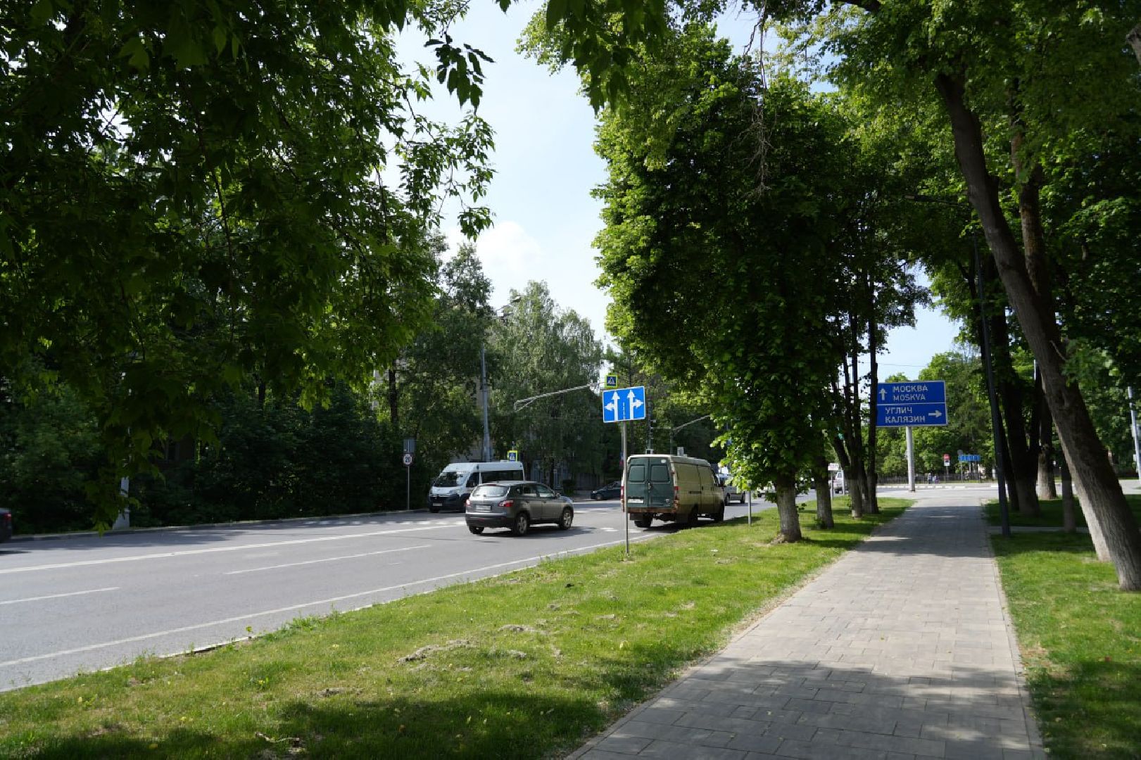Сергиев Посад, Сергиево-Посадский городской округ, Здоровье, Здравоохранение, Медицина, Пух, Аллергия