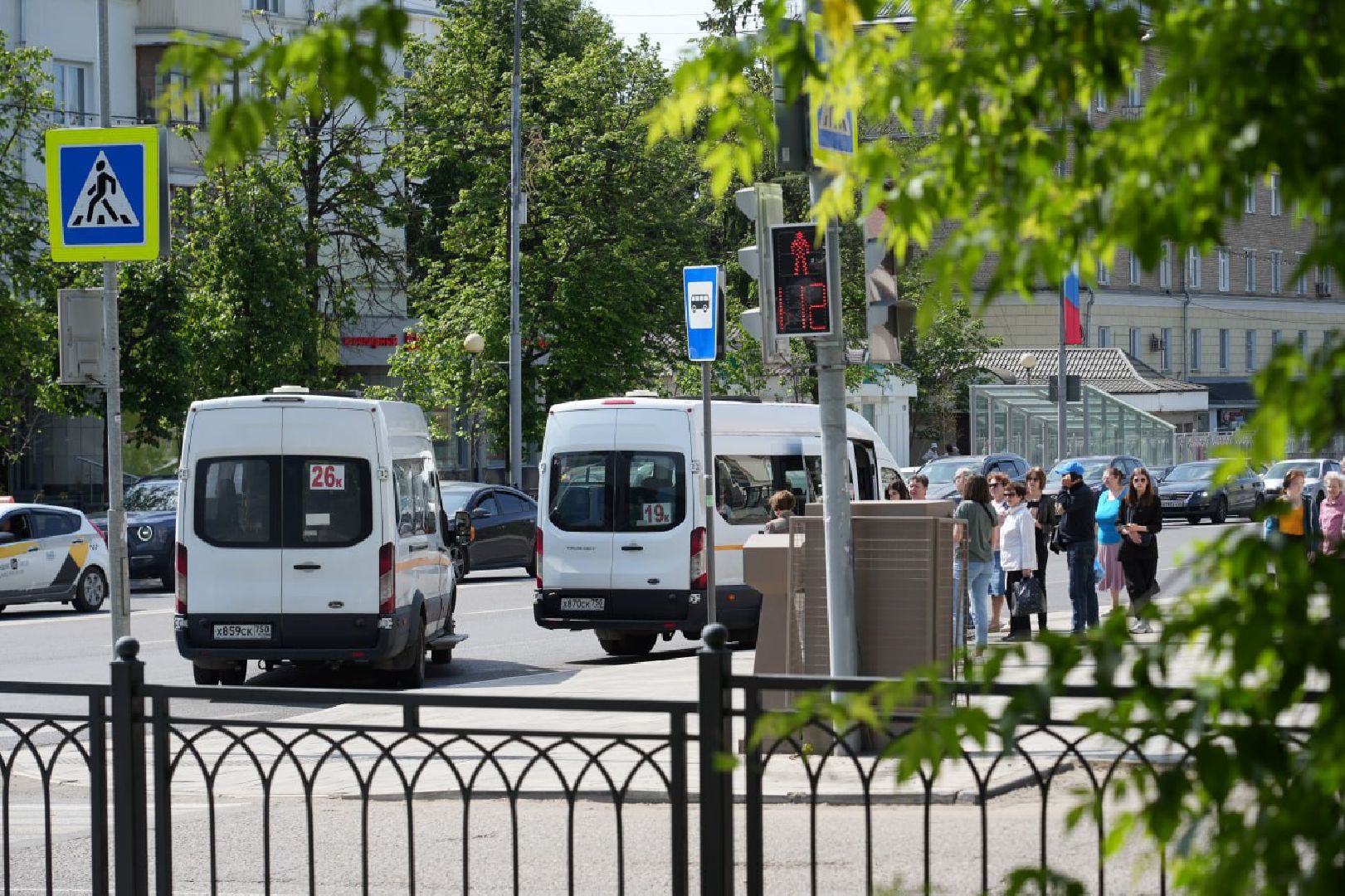Сергиев Посад, Сергиево-Посадский городской округ, Здоровье, Здравоохранение, Медицина, Пух, Аллергия