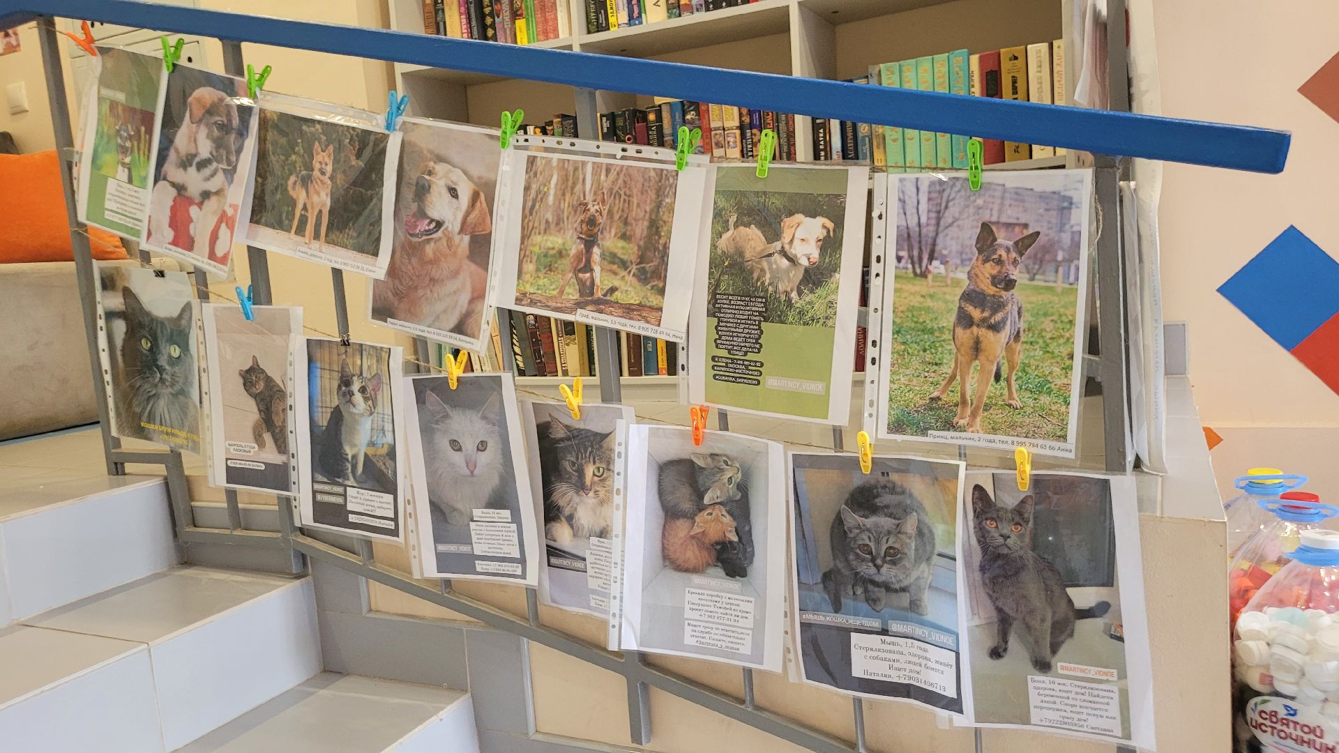 экология; видное; добро; фестиваль; библиотека