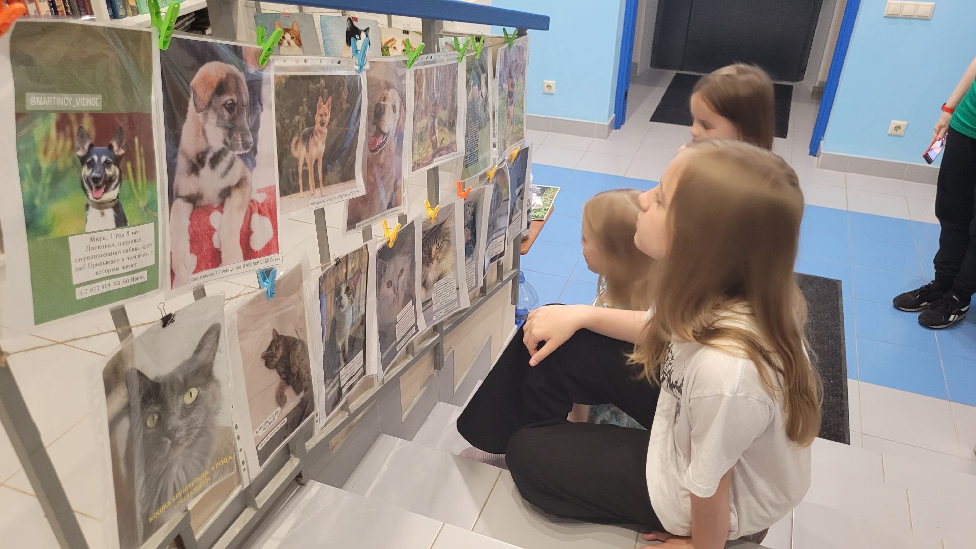 экология; видное; добро; фестиваль; библиотека