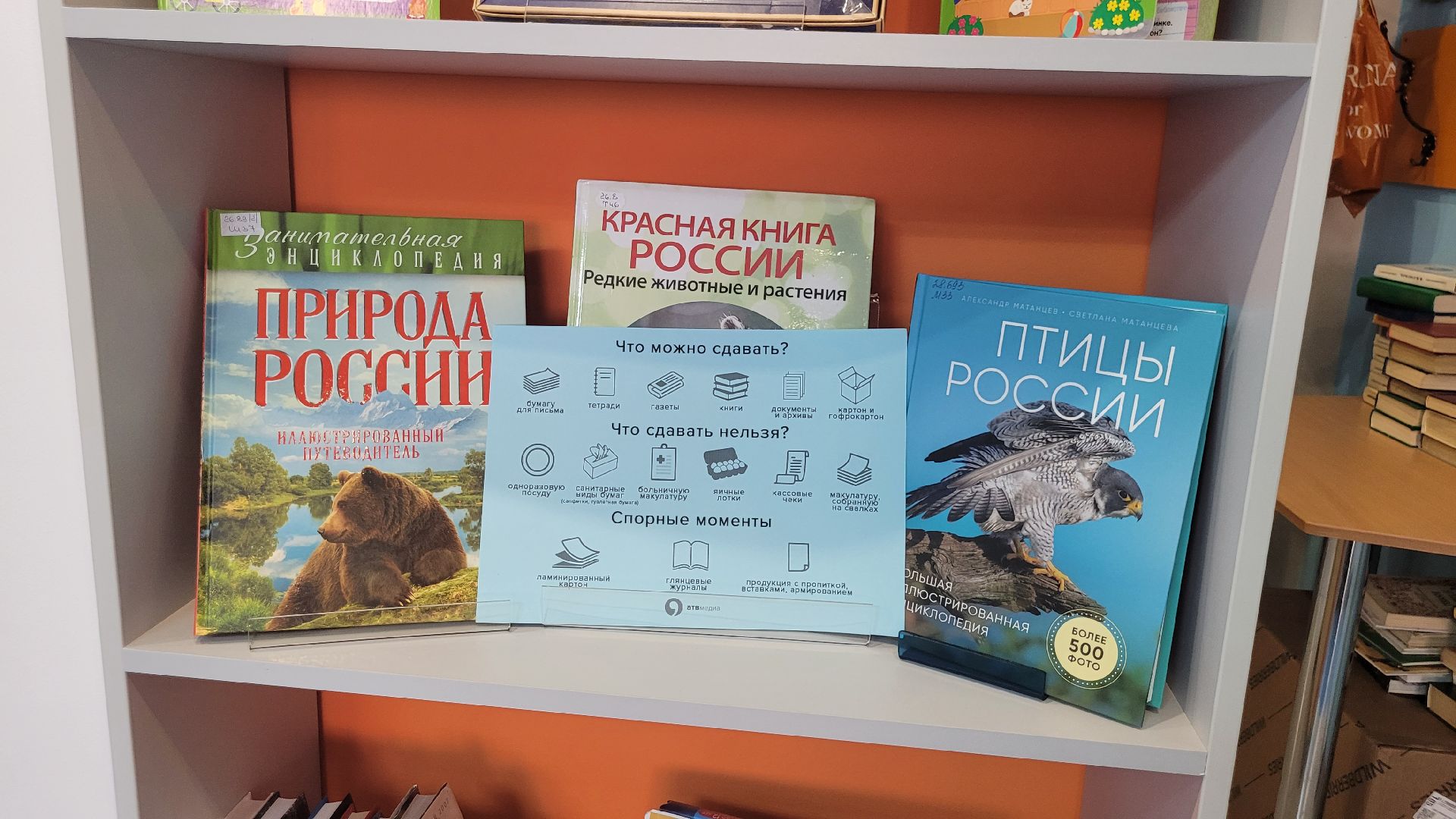 экология; видное; добро; фестиваль; библиотека