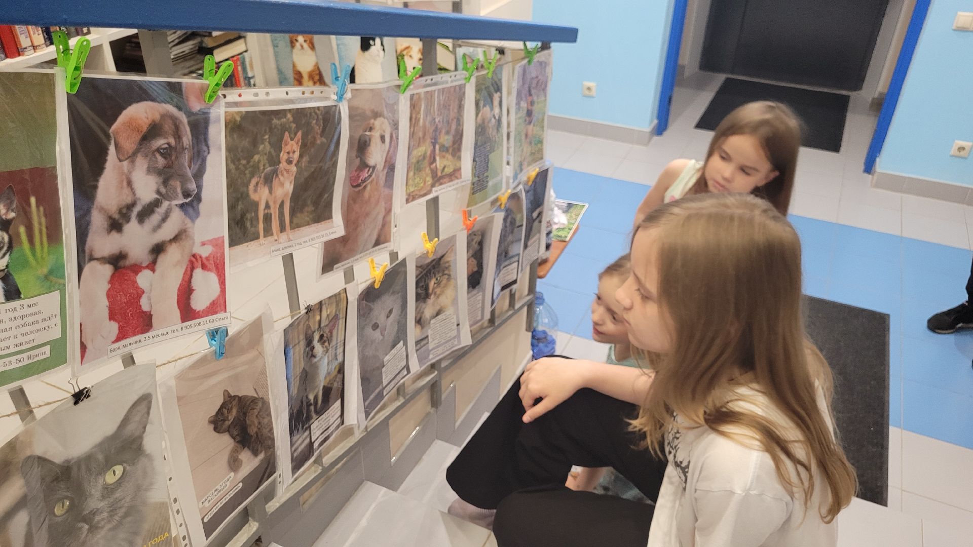 экология; видное; добро; фестиваль; библиотека