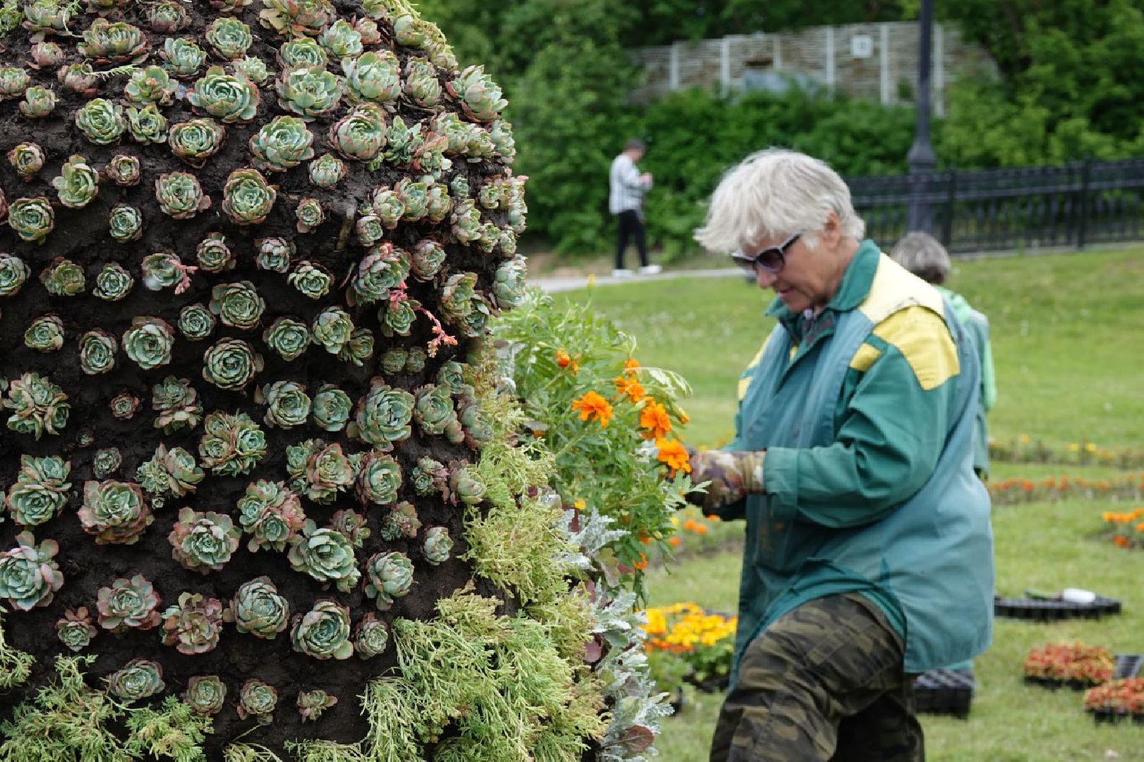 Сергиев Посад, Сергиево-Посадский городской округ, Красота, Города, Цветники, Благоустройство, Лето, Лето в Подмосковье