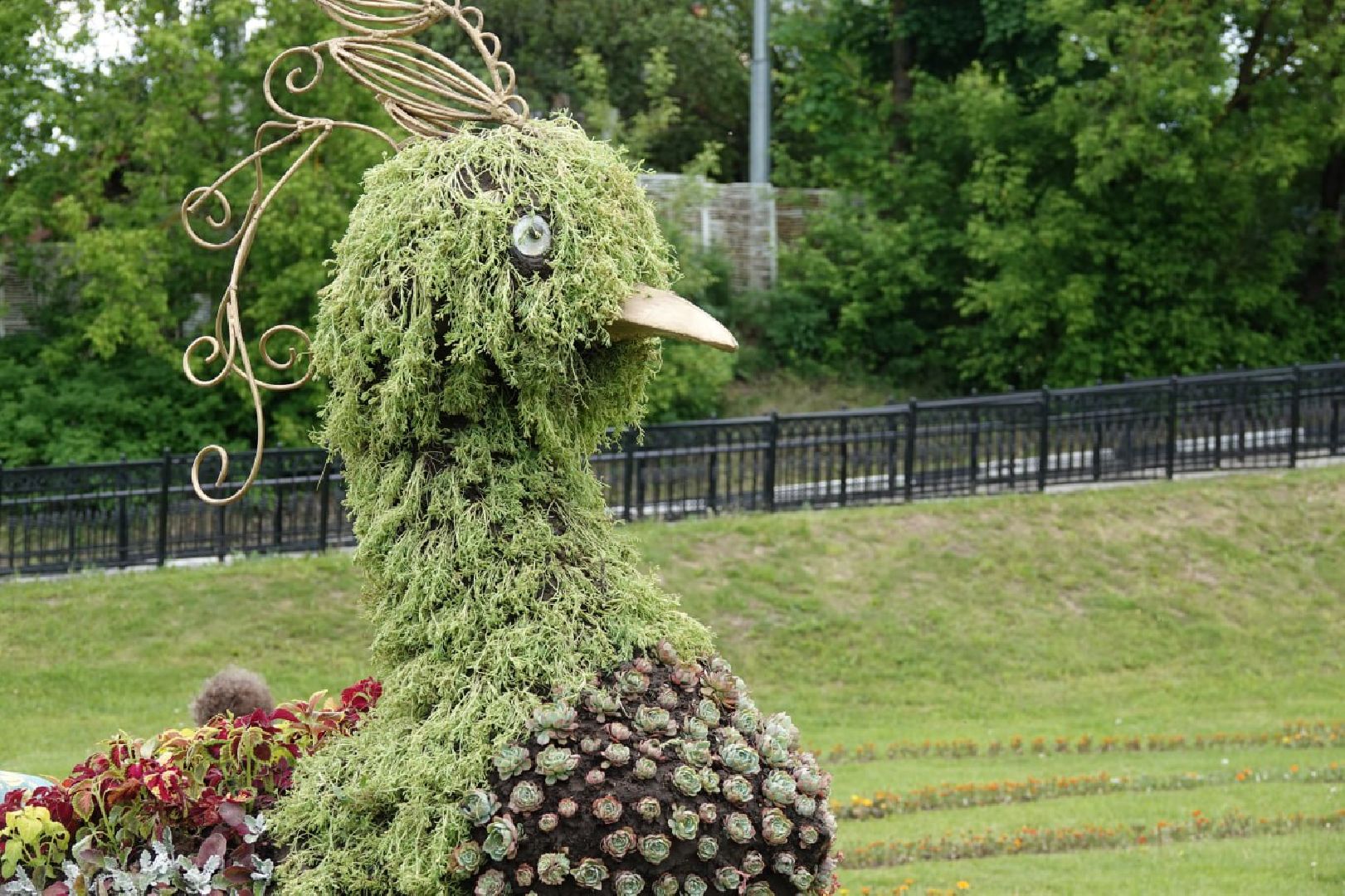 Сергиев Посад, Сергиево-Посадский городской округ, Красота, Города, Цветники, Благоустройство, Лето, Лето в Подмосковье
