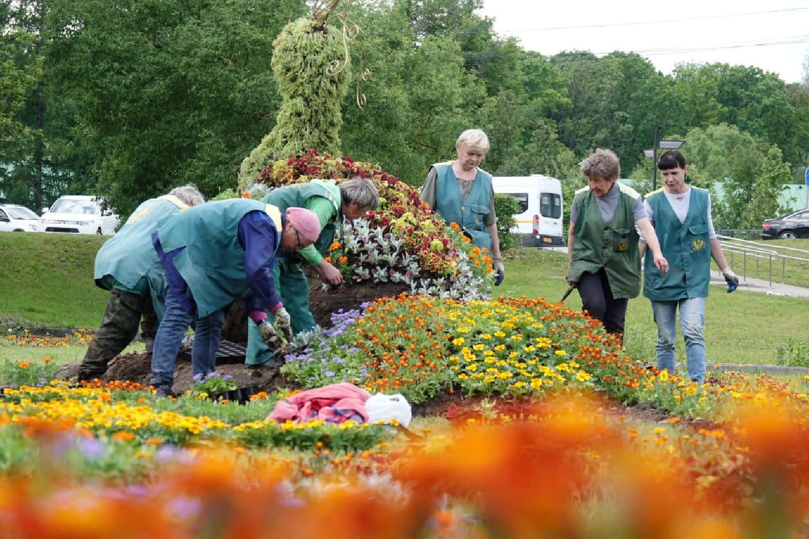 Сергиев Посад, Сергиево-Посадский городской округ, Красота, Города, Цветники, Благоустройство, Лето, Лето в Подмосковье