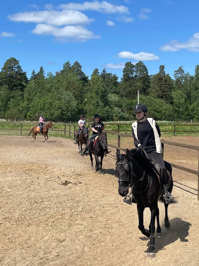 Туризм, отдых, ферма, лошади, Орехово-Зуево