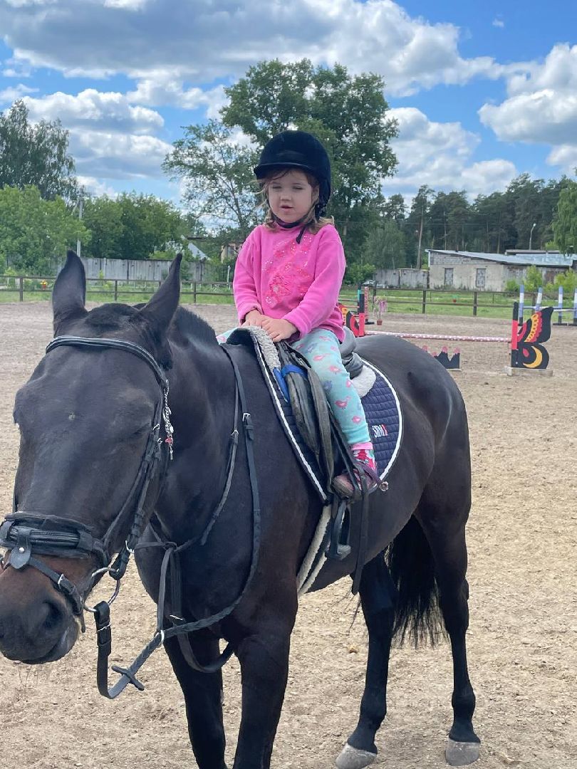 Туризм, отдых, ферма, лошади, Орехово-Зуево