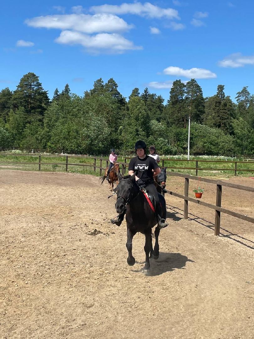 Туризм, отдых, ферма, лошади, Орехово-Зуево