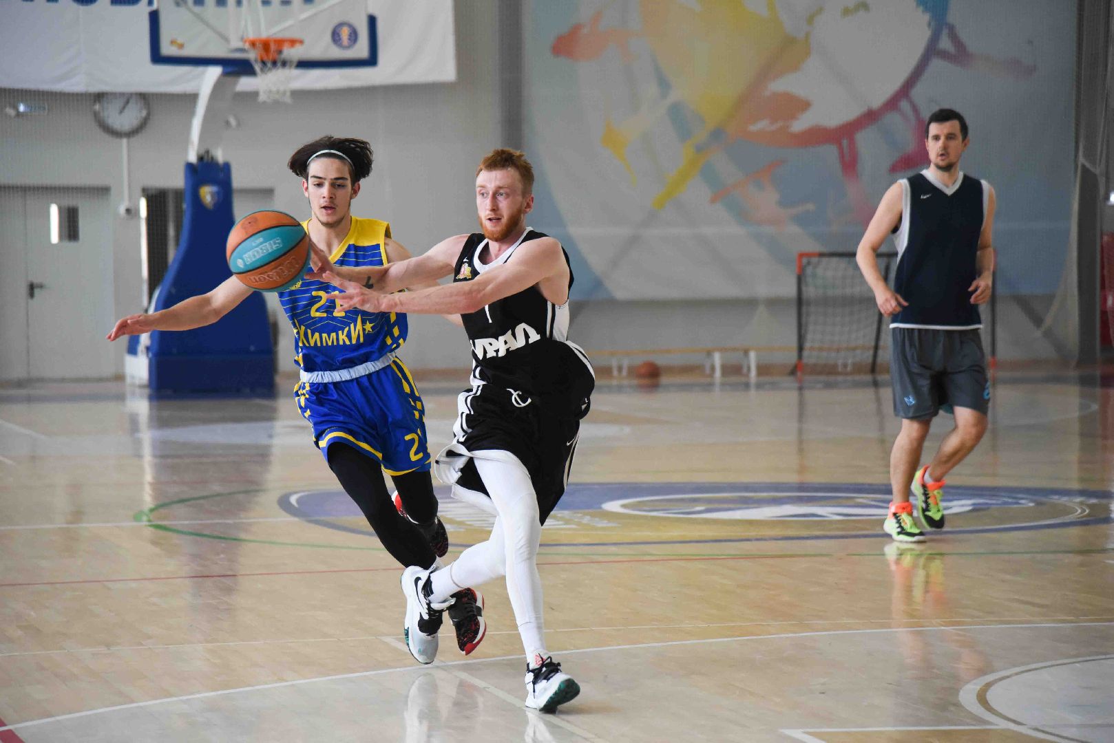 Химки, спорт, баскетбол