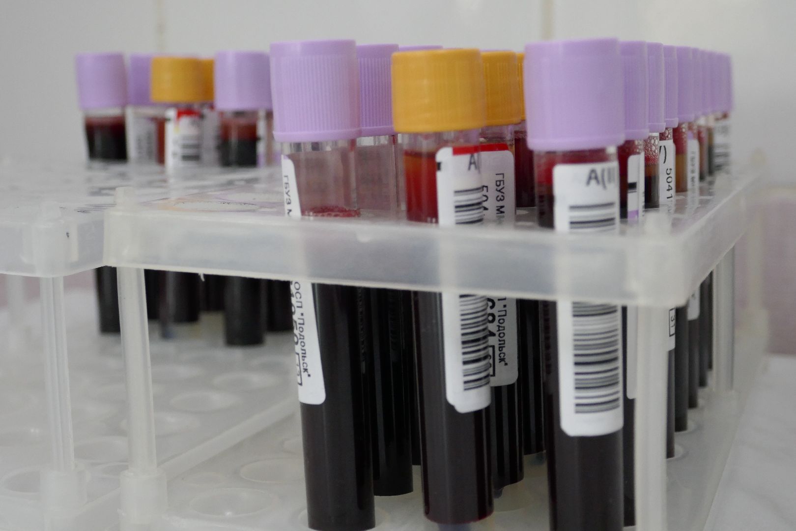 Подольск, медицина, донор, врач