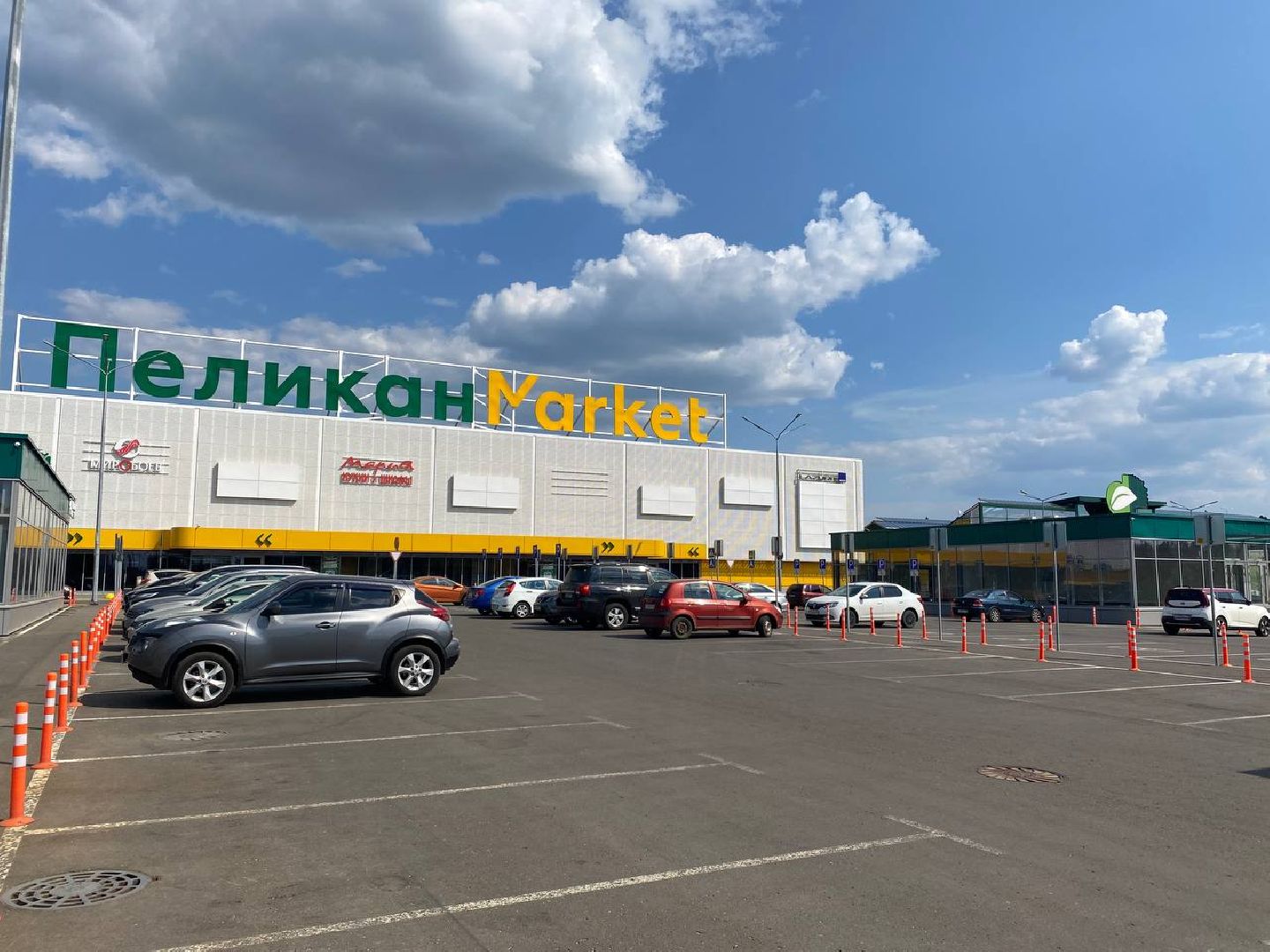 Пушкино, Пушкинский округ, донор, почетный донор, благотворительность, сдача крови, волонтеры, День Донора