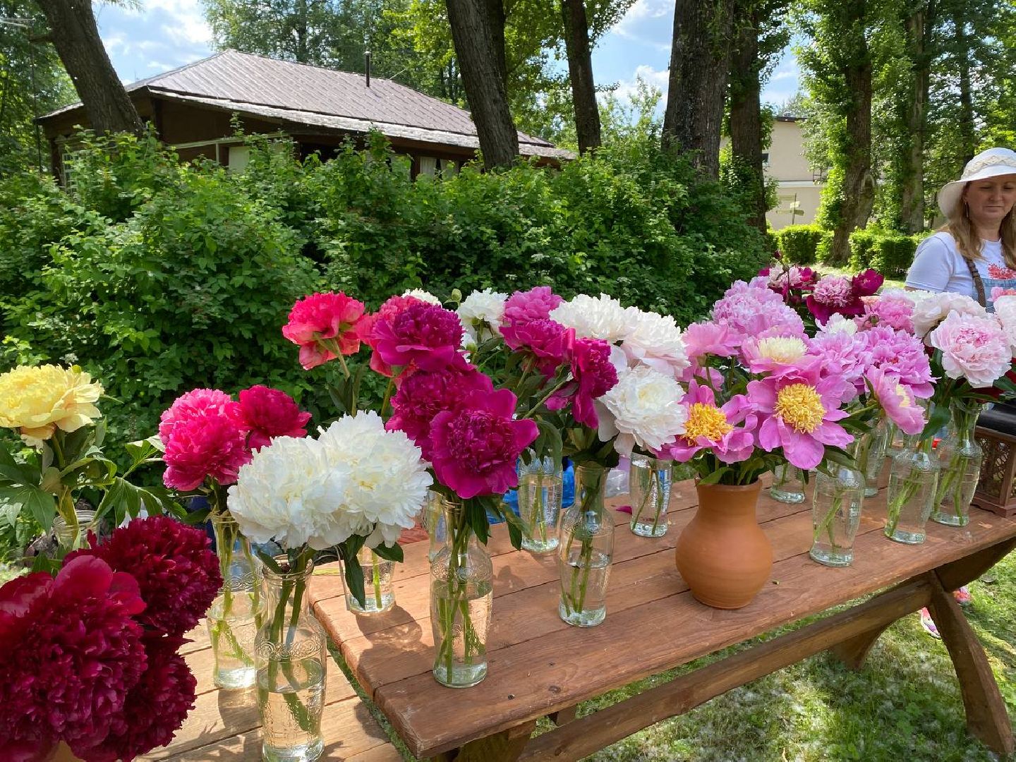 Чехов, культура, Мелихово, Пиономания, пион, фестиваль, цветы