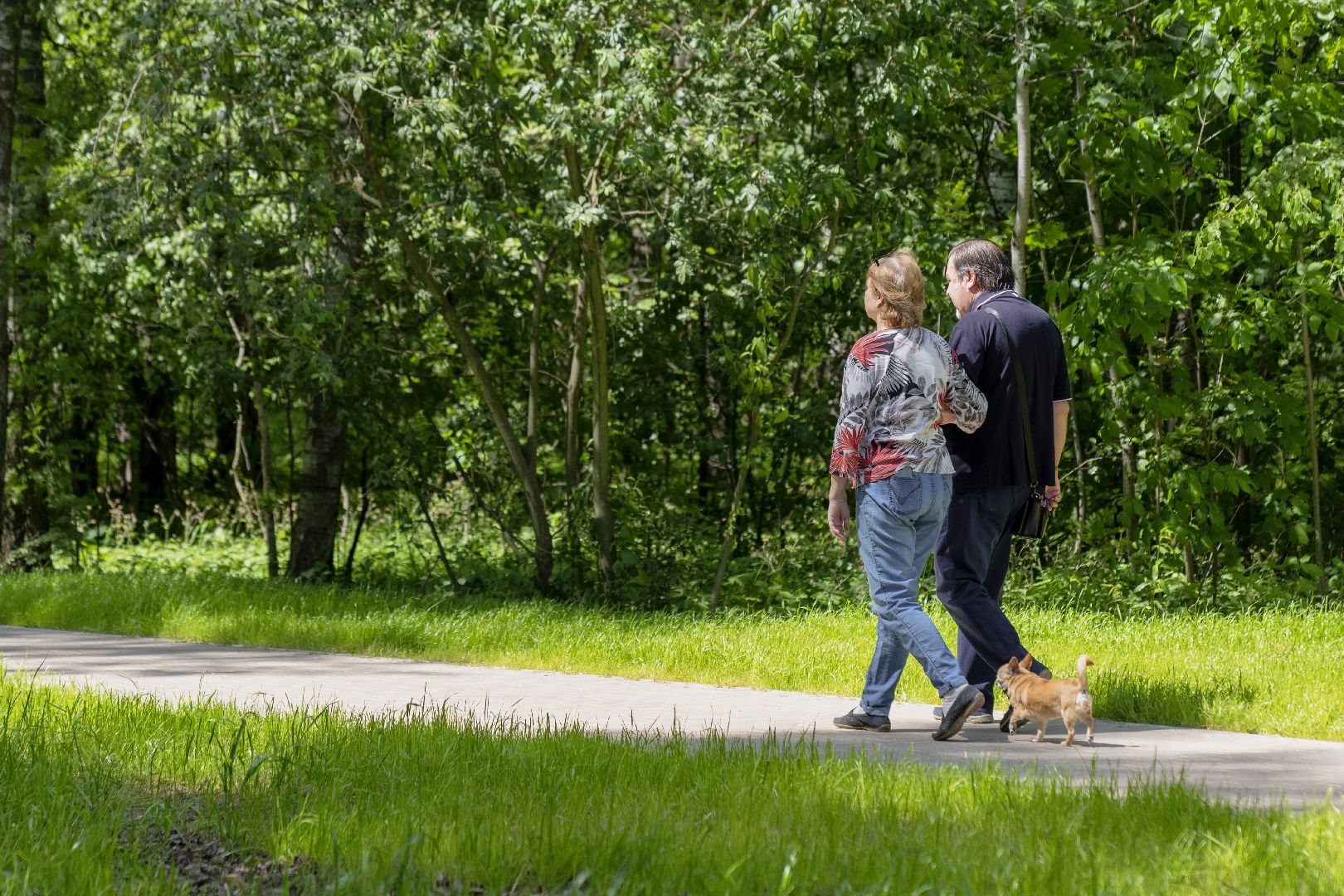 парк Взлёт, Домодедово