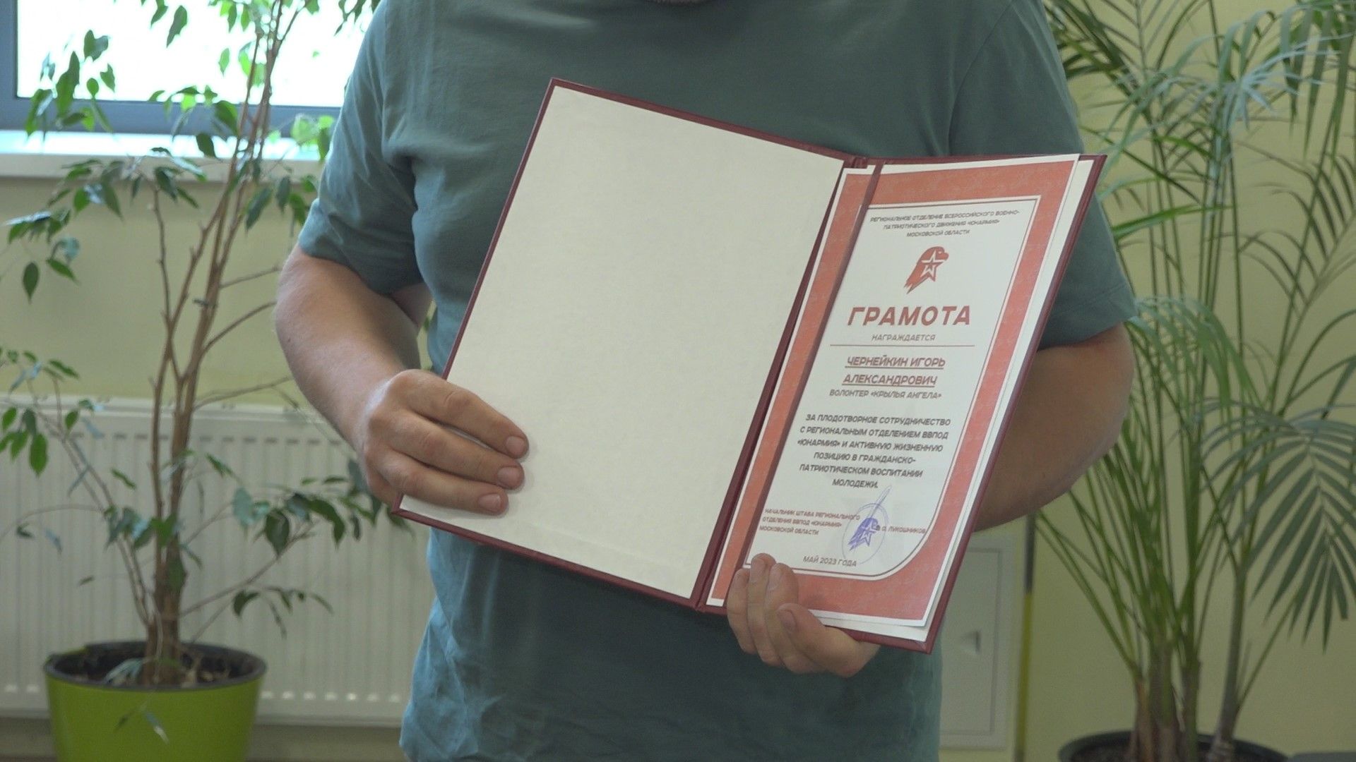 Юнармия, Волонтёры, Домодедово