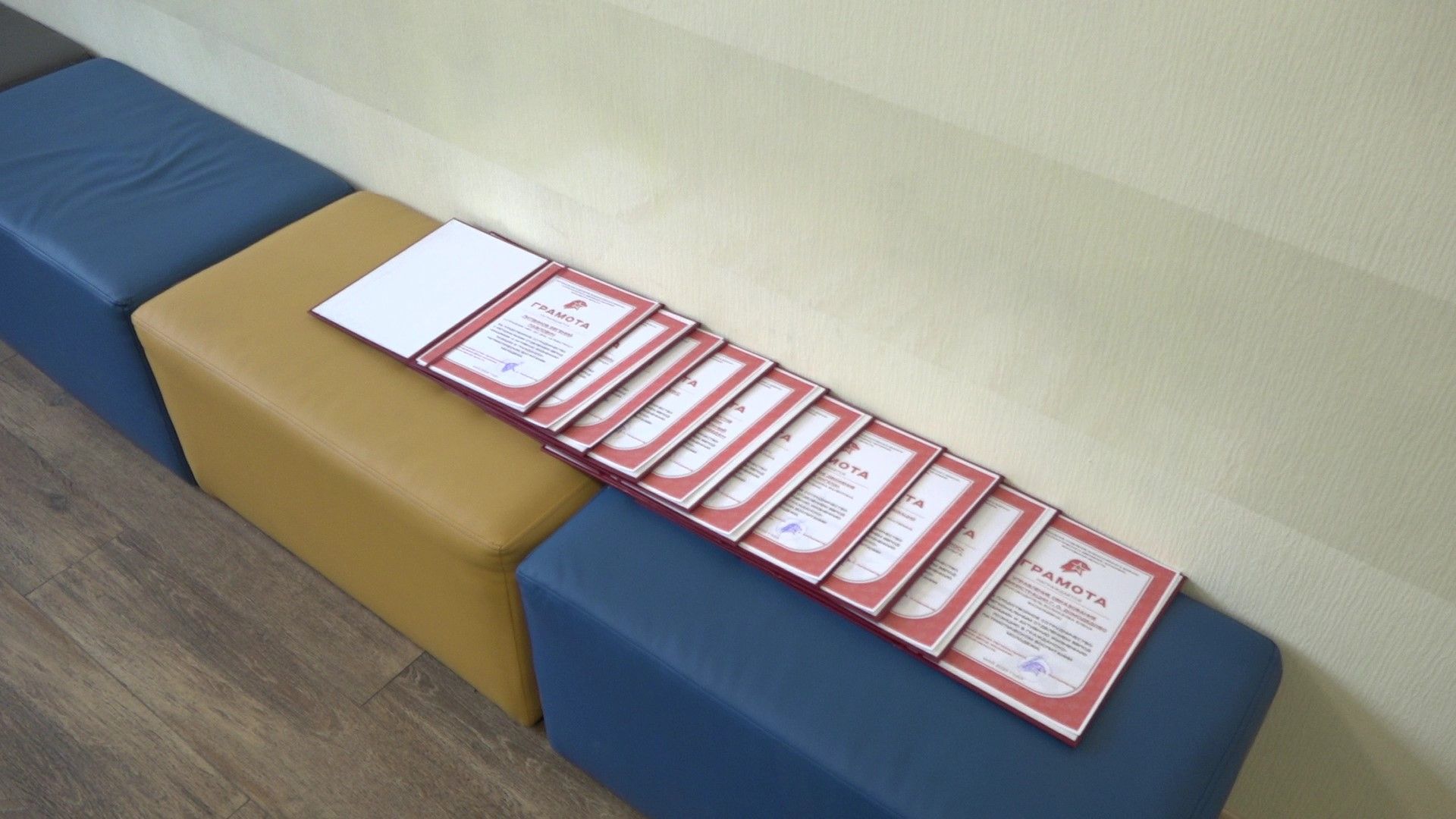 Юнармия, Волонтёры, Домодедово