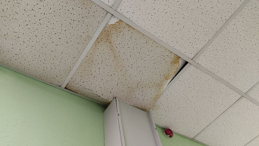 Лобня, города