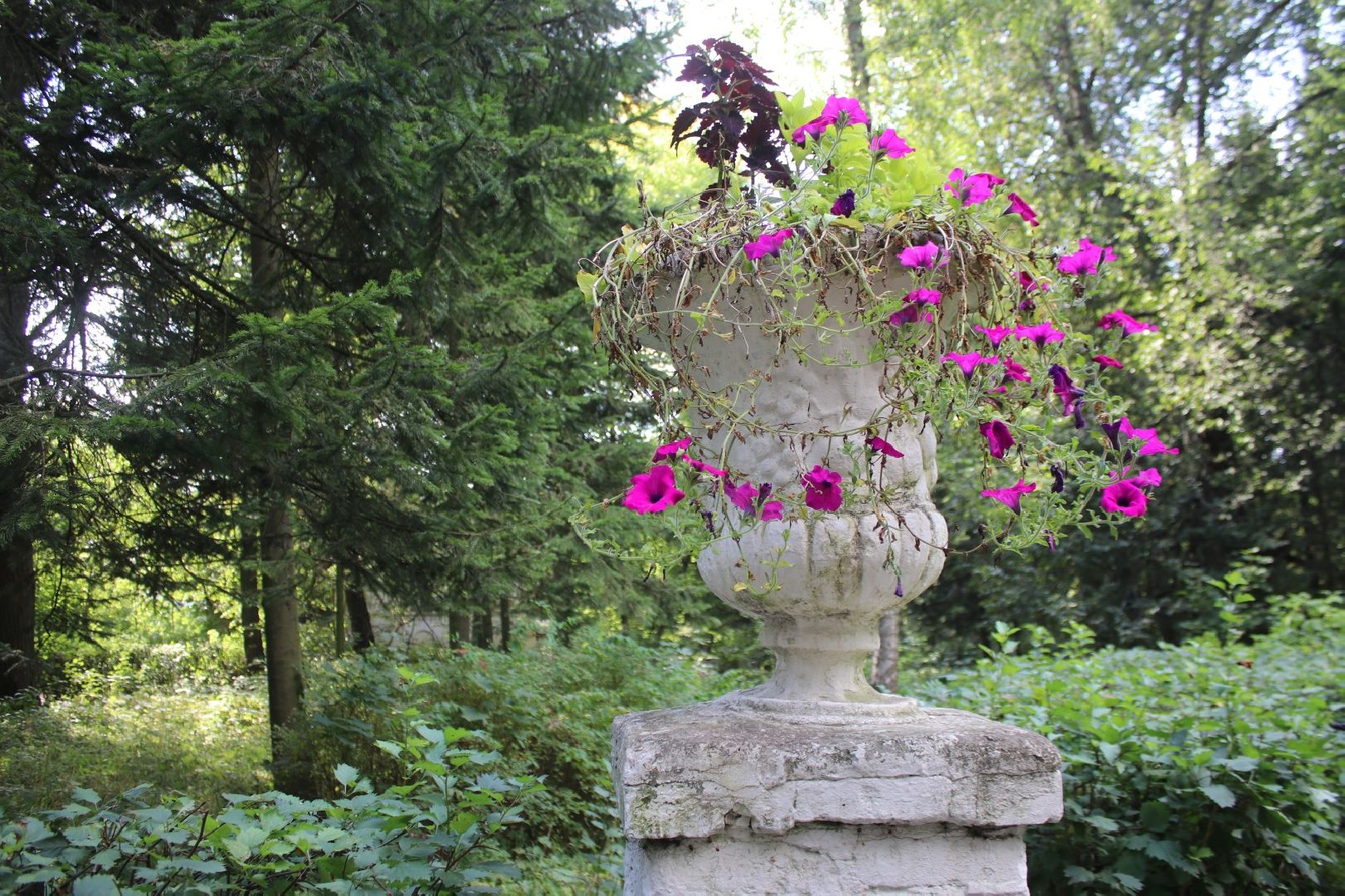 Пионовый, фестиваль, Быково, усадьба