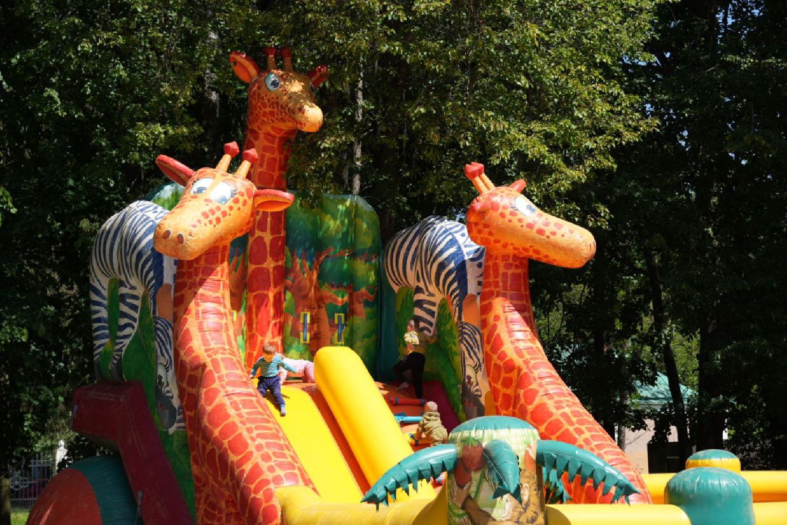 Сергиев Посад, Сергиево-Посадский городской округ, День России, Праздник, Родина, Российская Федерация, Парки, Скверы, Лето в Подмосковье, Молодежь, Жители