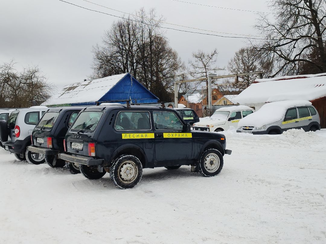 Истра, пожар, лесничий, техника, Мособллес