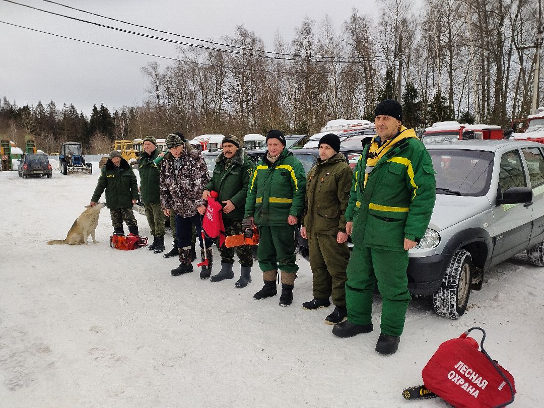 Истра, пожар, лесничий, техника, Мособллес