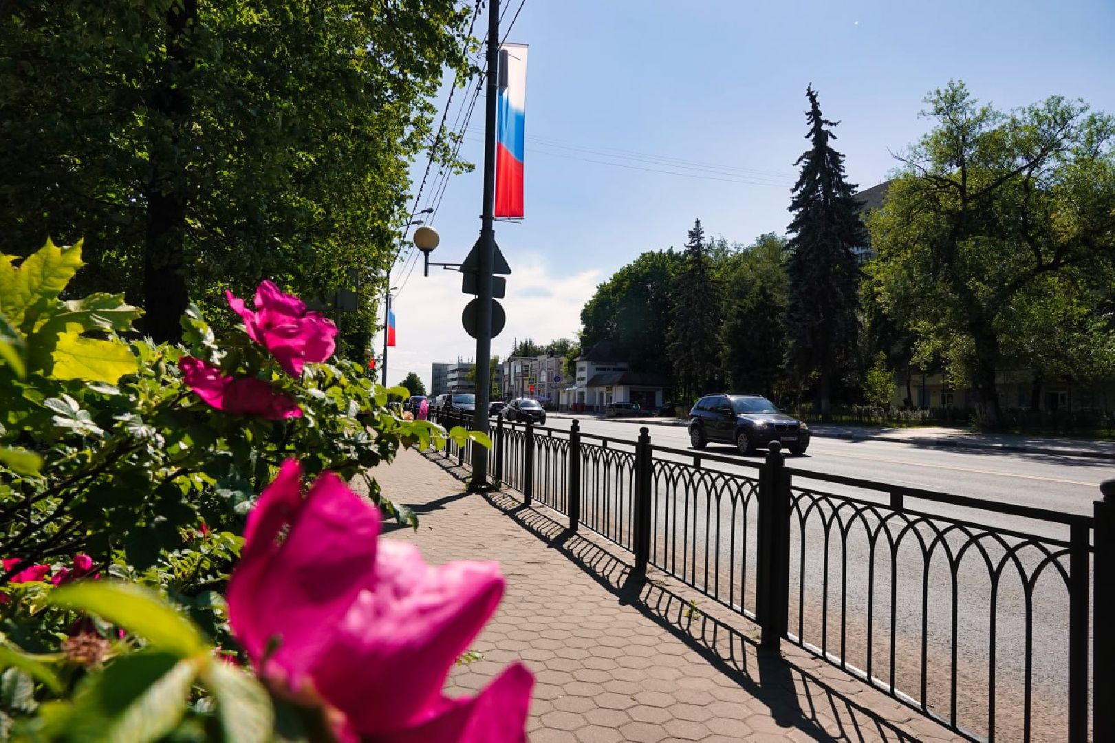 Сергиев Посад, Сергиево-Посадский городской округ, День России, Праздник, Родина, Российская Федерация, Парки, Скверы, Лето в Подмосковье, Молодежь, Жители