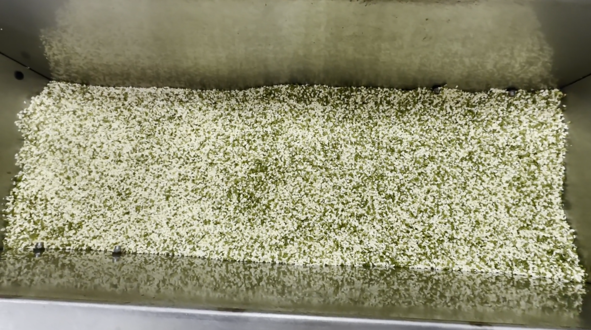 производство, микрозелень, Лосино-Петровский