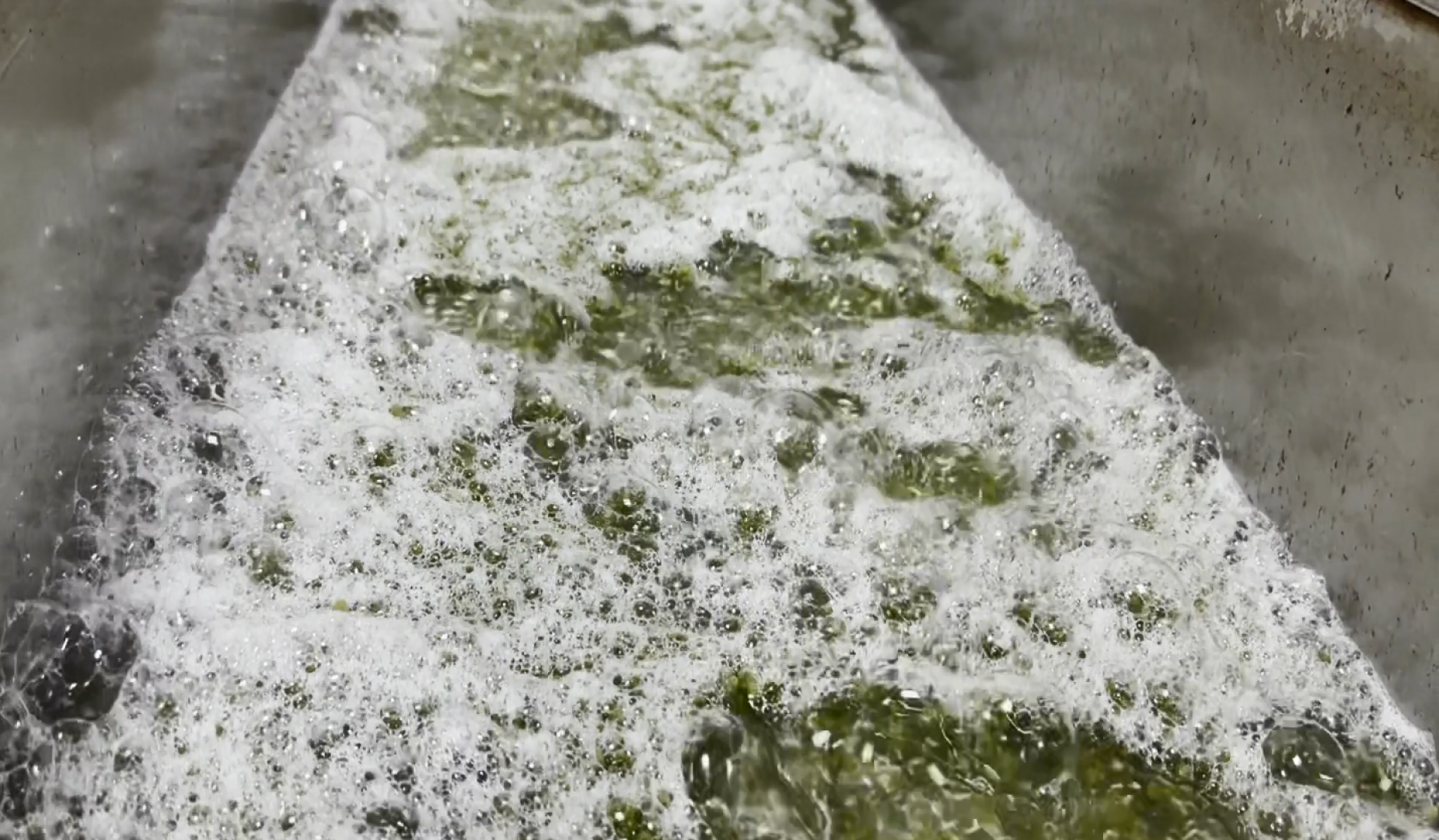 производство, микрозелень, Лосино-Петровский