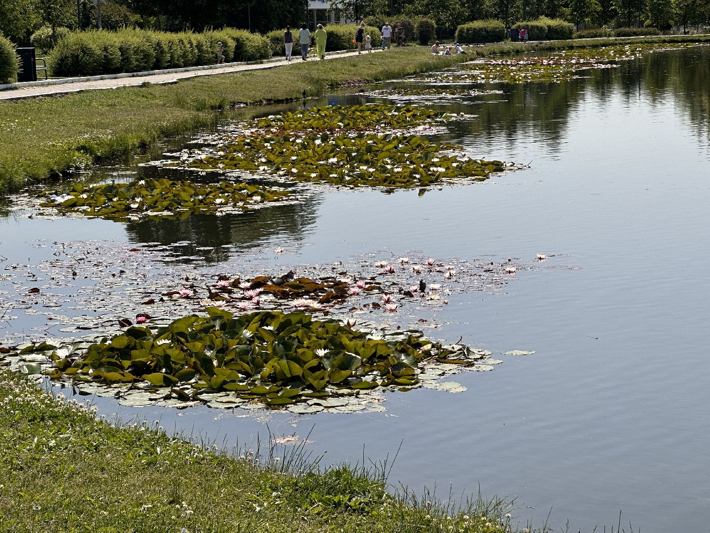Одинцово, Парки Подмосковья, Лето, Каникулы