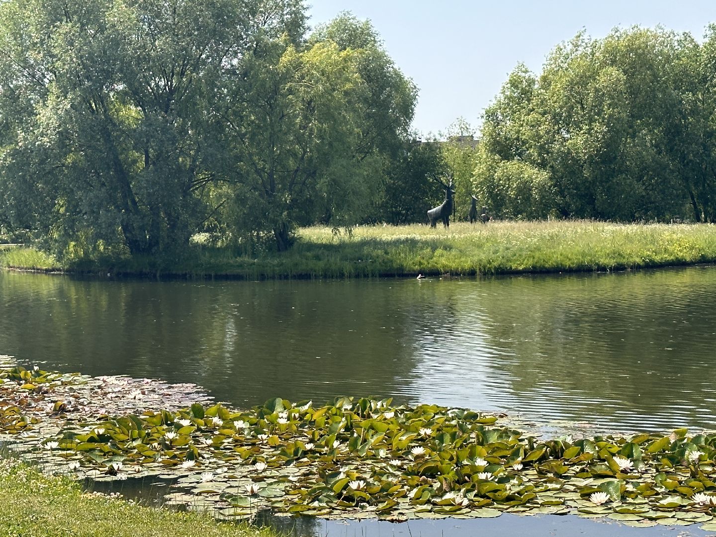 Одинцово, Парки Подмосковья, Лето, Каникулы