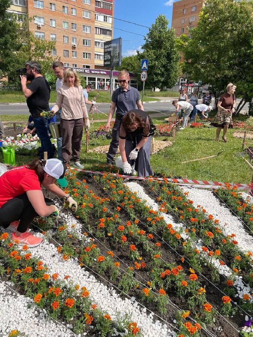 Долгопрудный, цветы, клумба, бархатцы, перемены, педагоги
