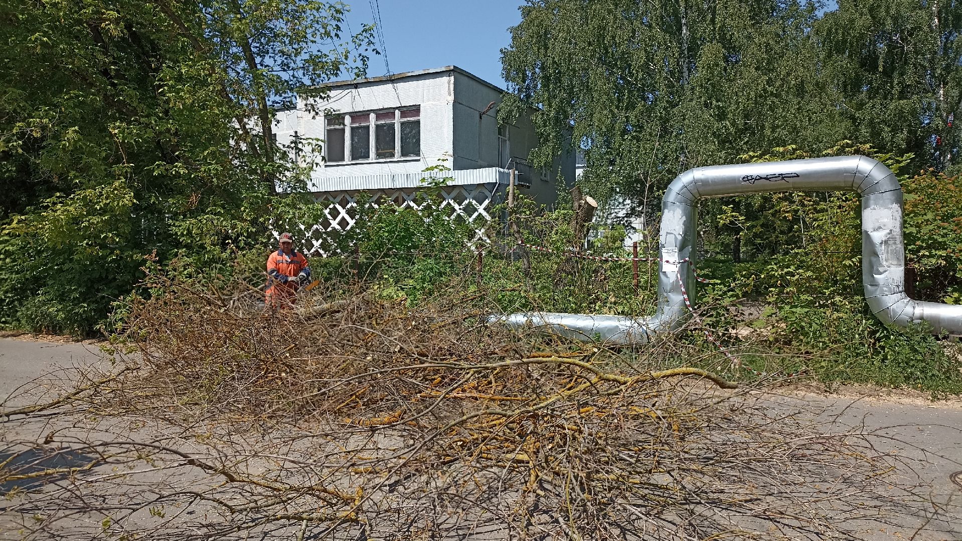 Серпухов, Подмосковье, Добродел, благоустройства, удаление сухостоя