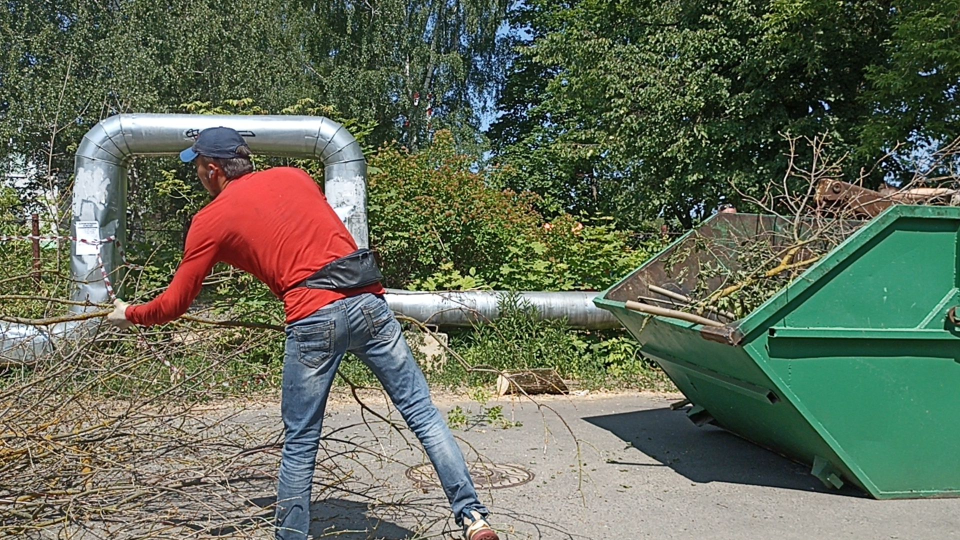 Серпухов, Подмосковье, Добродел, благоустройства, удаление сухостоя