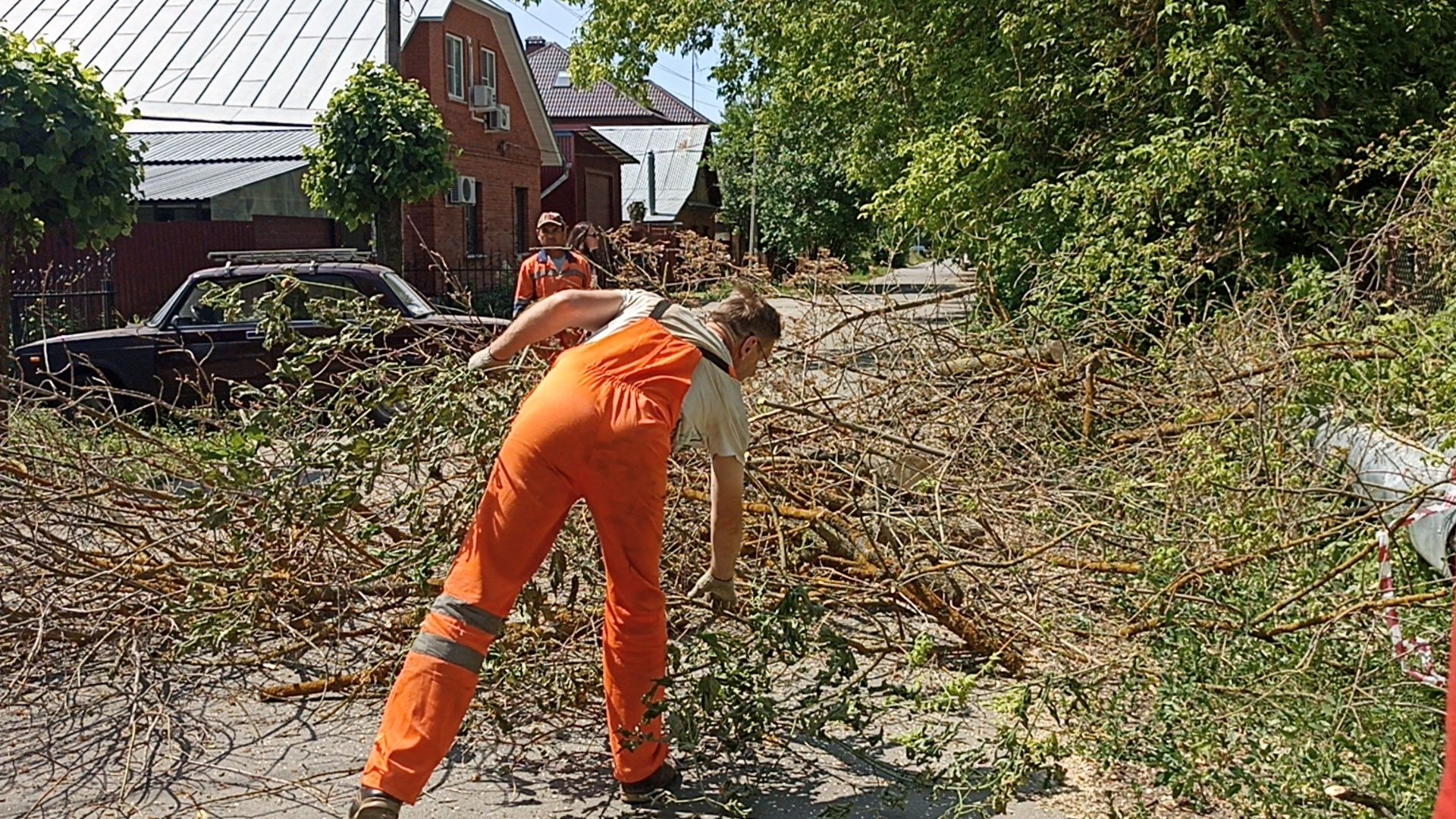 Серпухов, Подмосковье, Добродел, благоустройства, удаление сухостоя