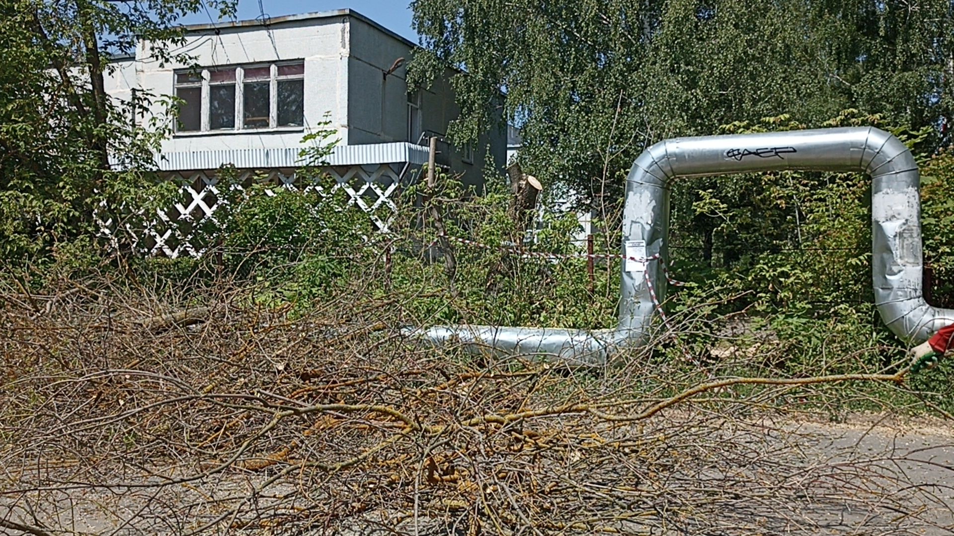 Серпухов, Подмосковье, Добродел, благоустройства, удаление сухостоя