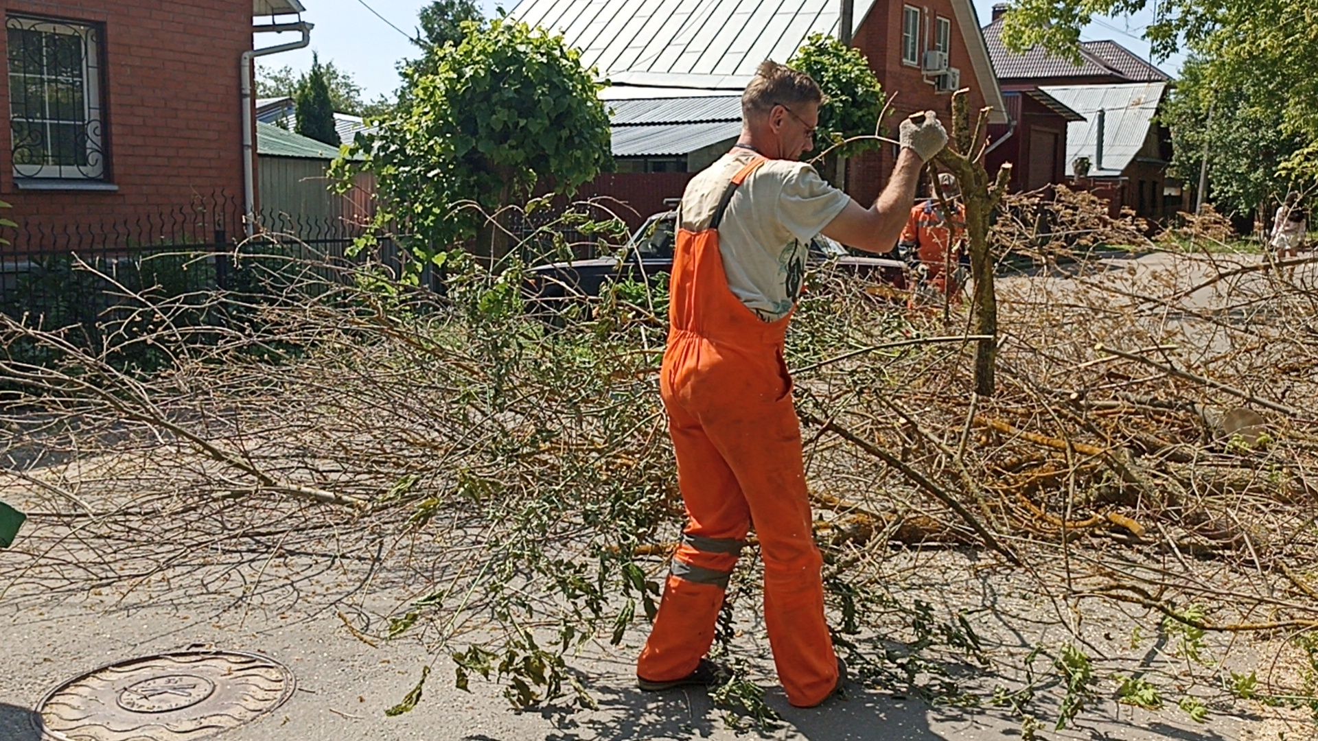 Серпухов, Подмосковье, Добродел, благоустройства, удаление сухостоя