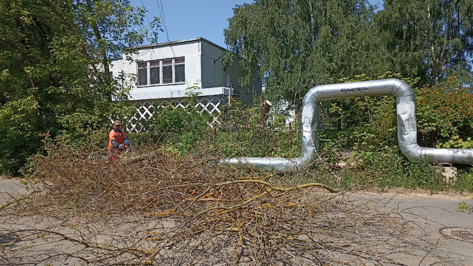 Серпухов, Подмосковье, Добродел, благоустройства, удаление сухостоя