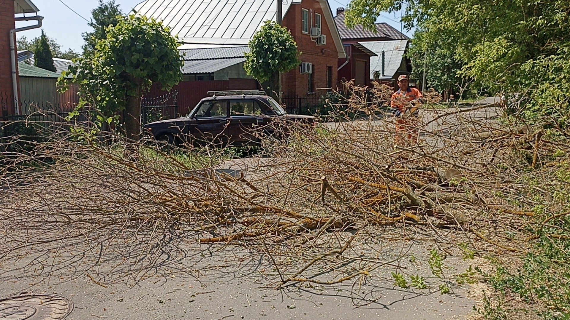 Серпухов, Подмосковье, Добродел, благоустройства, удаление сухостоя