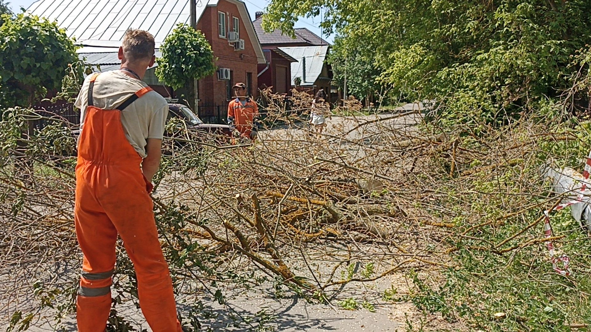 Серпухов, Подмосковье, Добродел, благоустройства, удаление сухостоя