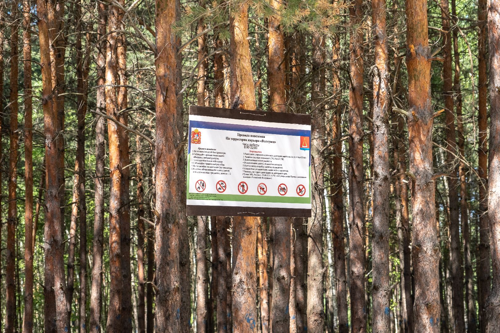 лыткарино, общество, туризм, отдых, безопасность,