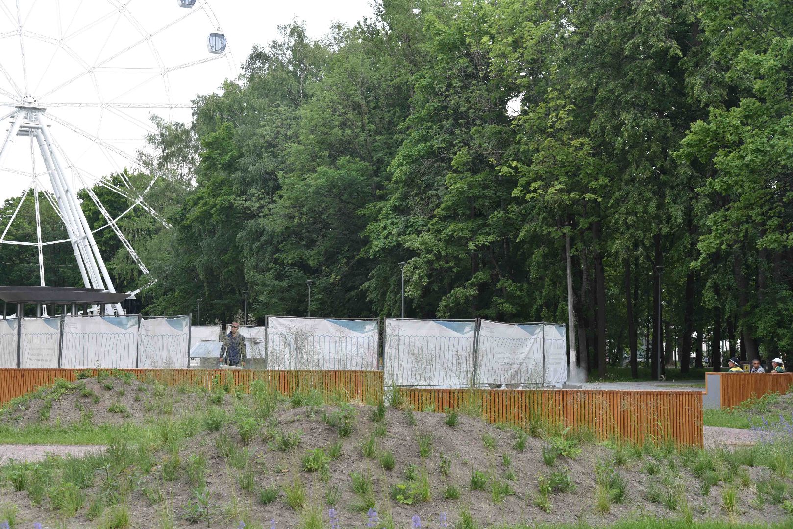 Химки, парк, благоустройство