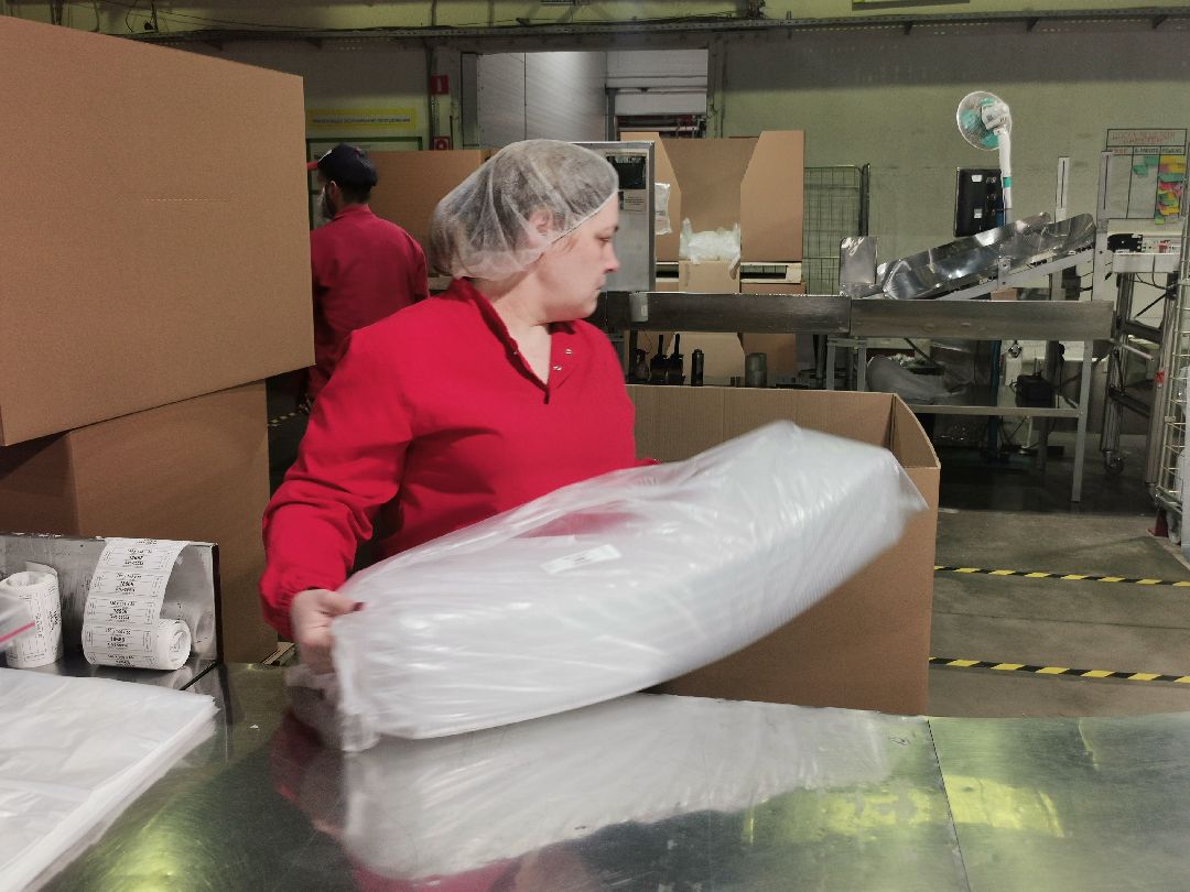 Подольск, Экономика