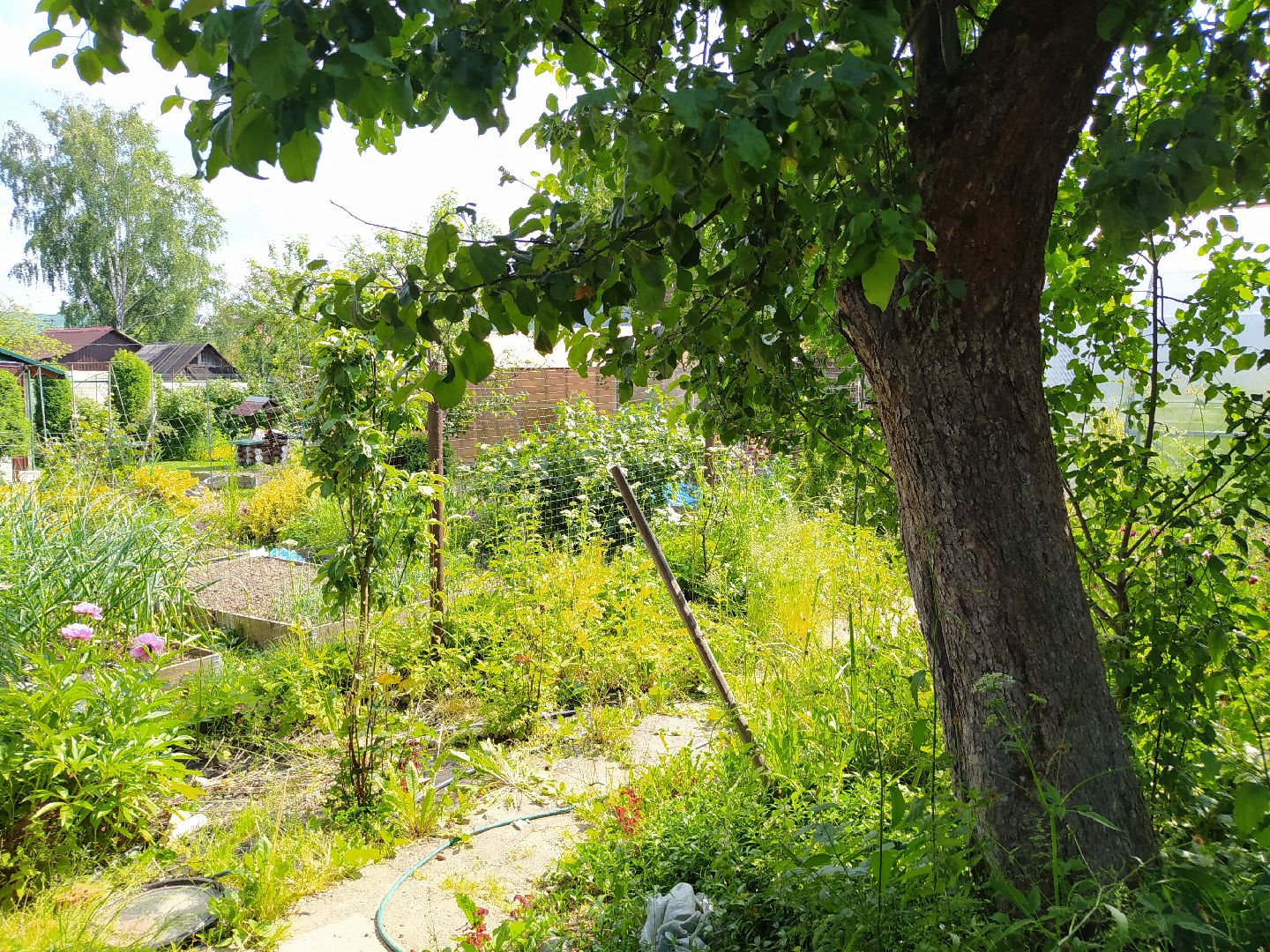 дедовск, сво, беженцы, помощь