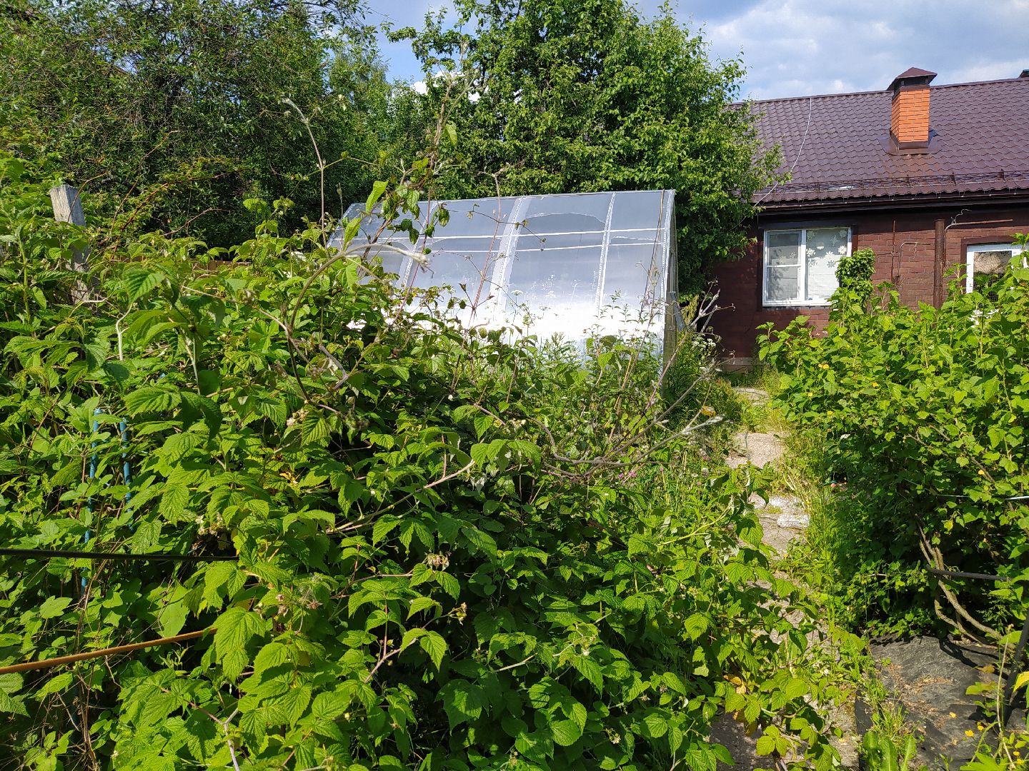 дедовск, сво, беженцы, помощь