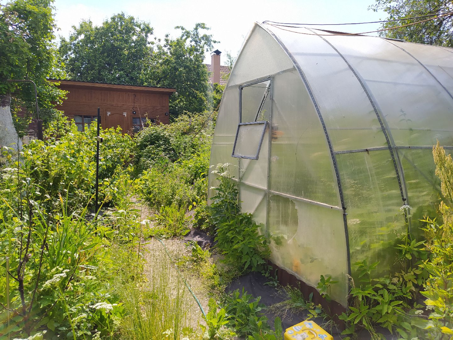 дедовск, сво, беженцы, помощь