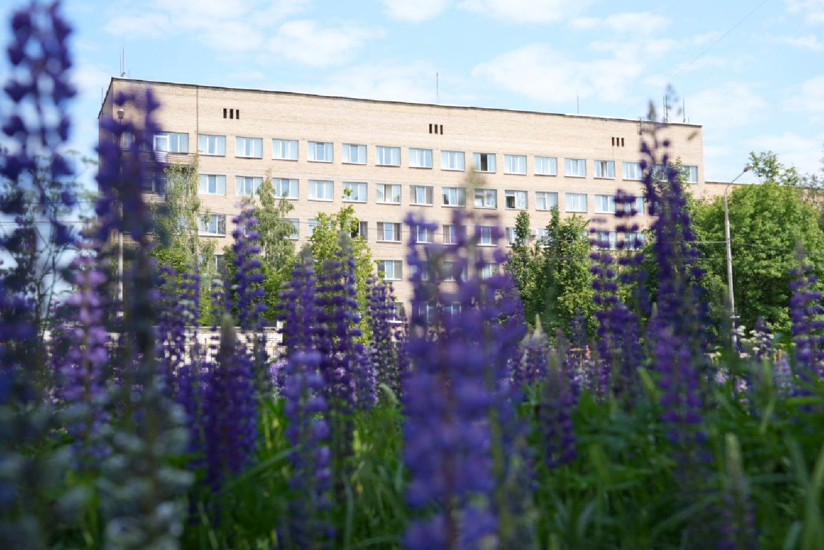 Сергиев Посад, Сергиево-Посадский городской округ, Медицина, Врачи, Здравоохранения, Люди, Здоровье