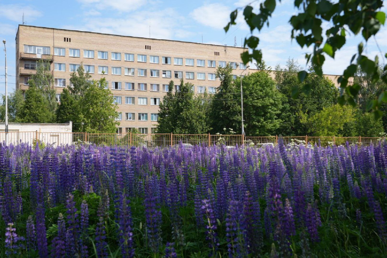 Сергиев Посад, Сергиево-Посадский городской округ, Медицина, Врачи, Здравоохранения, Люди, Здоровье