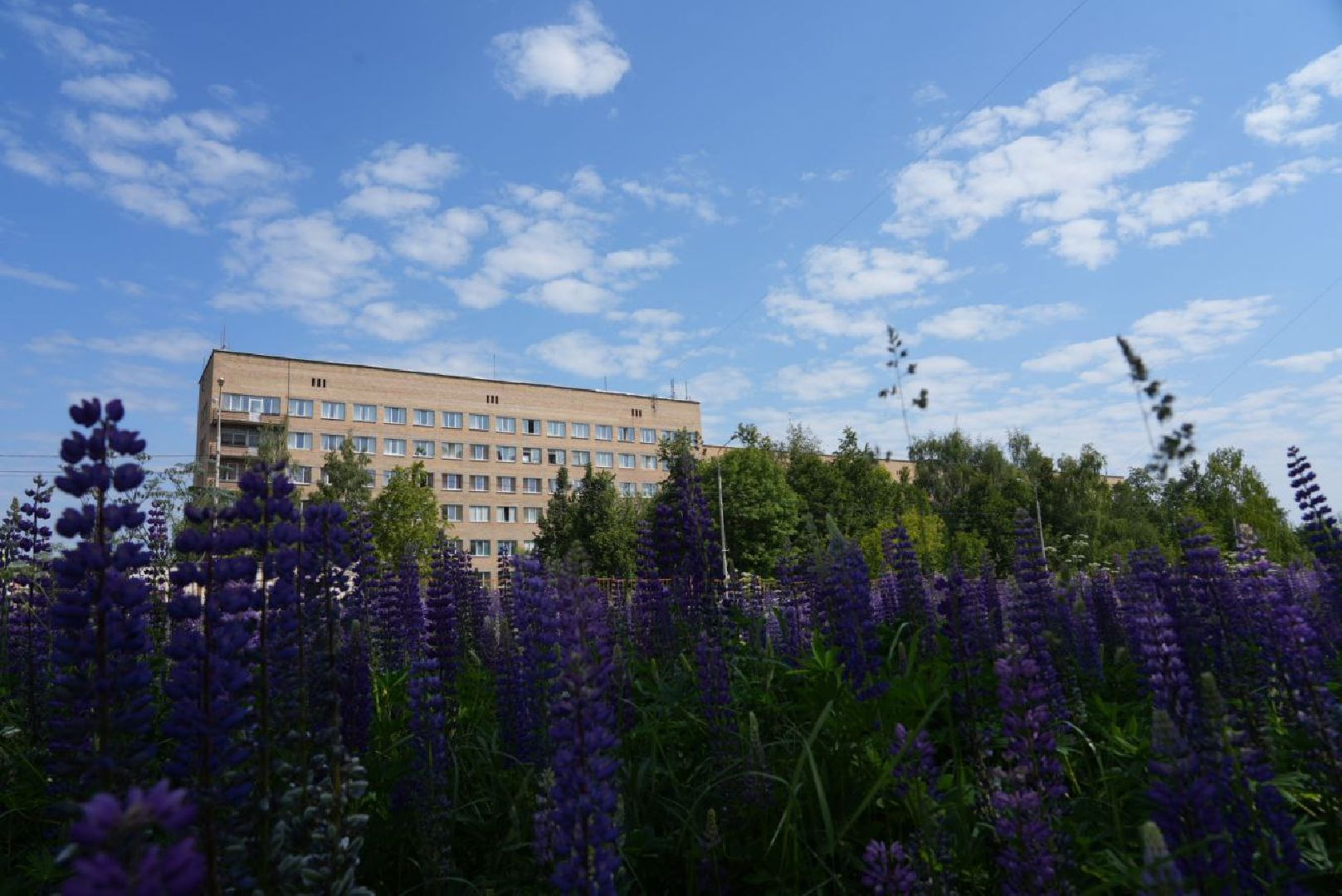 Сергиев Посад, Сергиево-Посадский городской округ, Медицина, Врачи, Здравоохранения, Люди, Здоровье